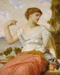 Il piccione domestico, 1886